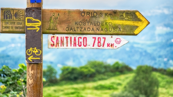 Comer Vegano y Saludable durante el Camino de Santiago